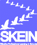 SKEIN supporting professional learning in schools